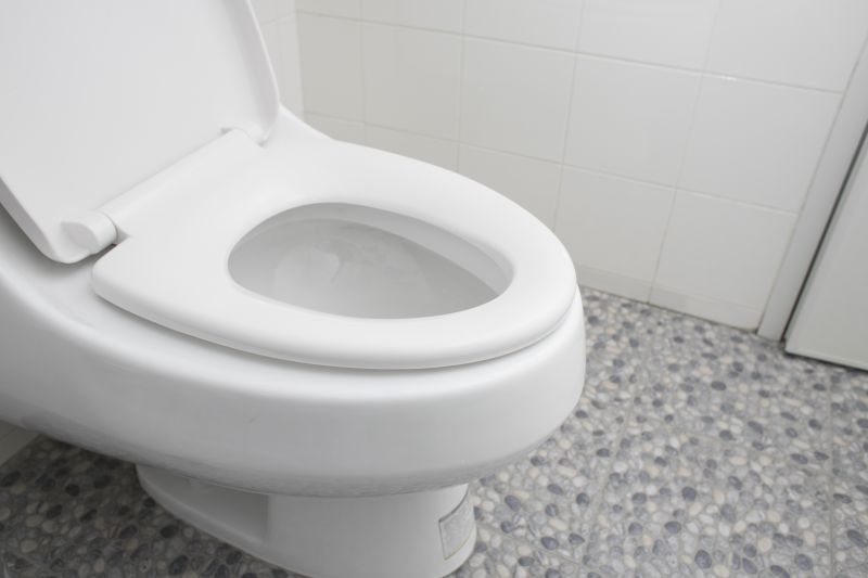 Bathroom Renovation in Seminole, FL